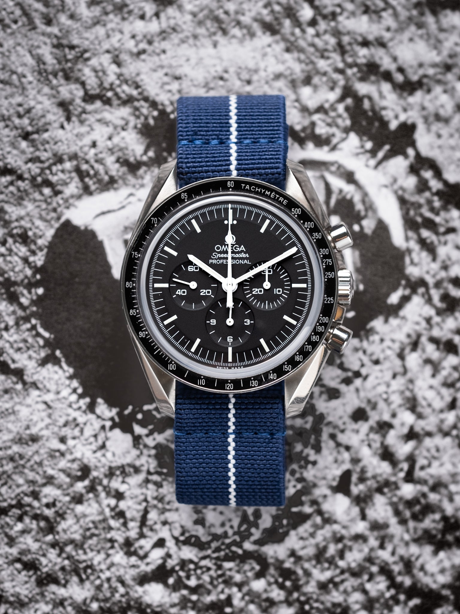 Navy / White Elastic Loop Strap